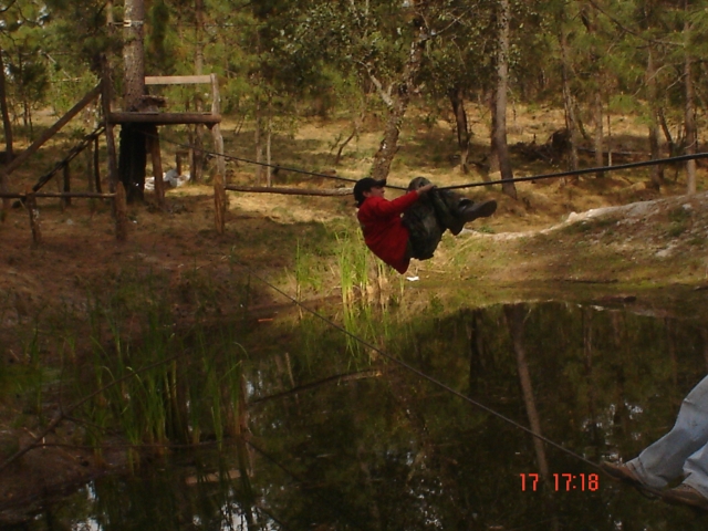 Puente mono en el lago